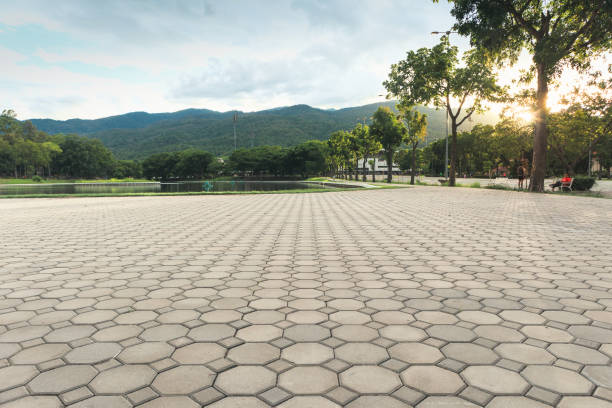 Best Driveway Paving Contractor  in Ocala, FL